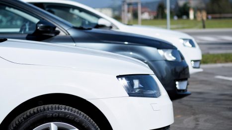 najem-vozil-skoda-bela-5